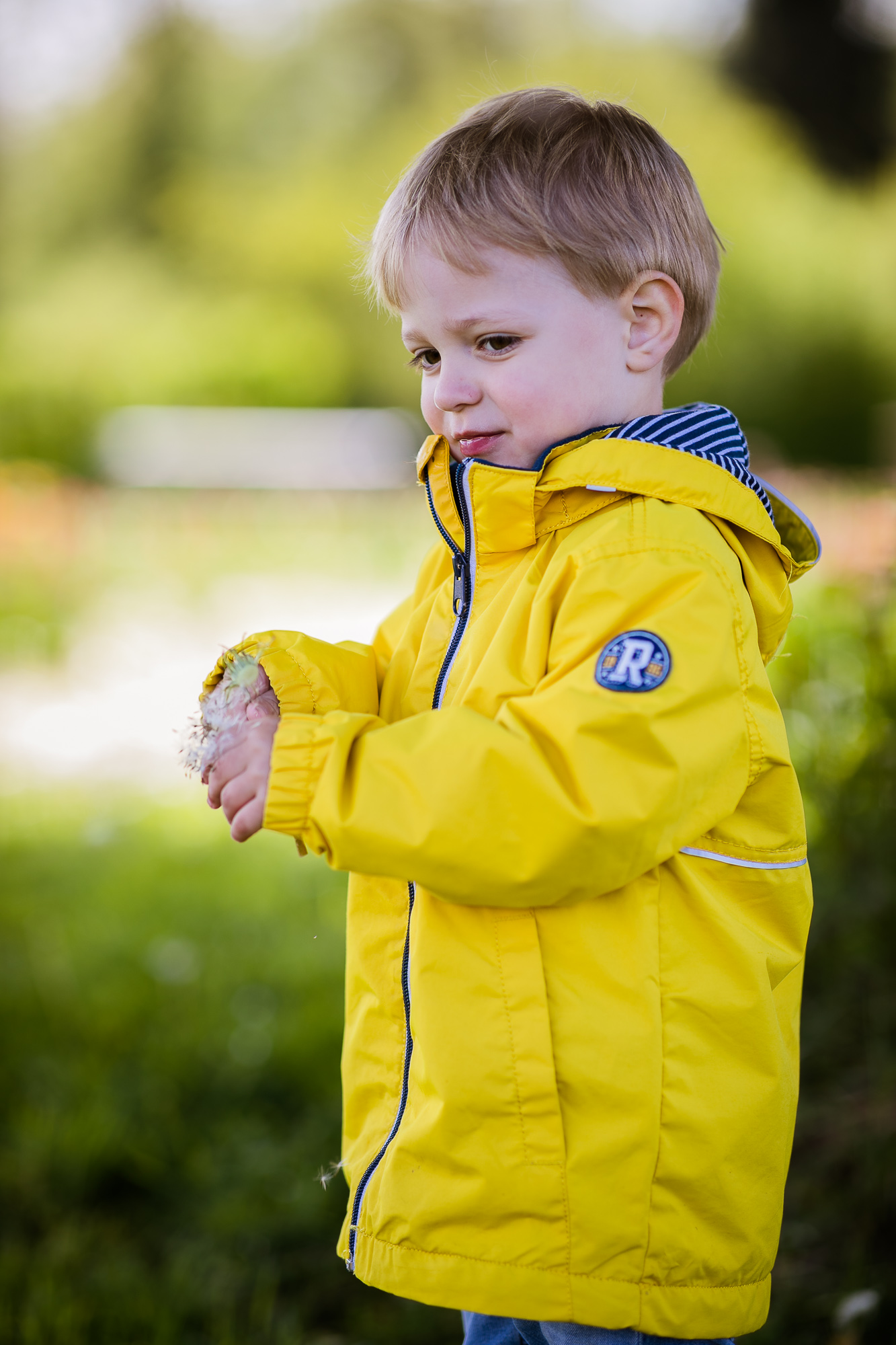 Export x3 1DX28294 Familienfotoshooting 2019 Hefti